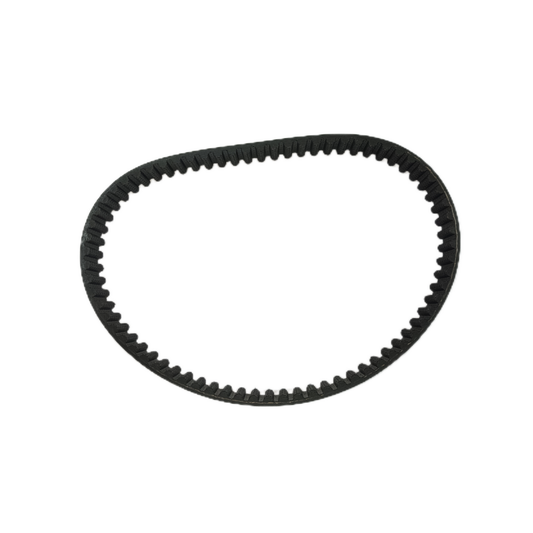 LIGHT BEE DRIVE BELT